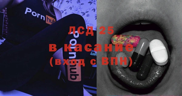 прущие грибы Костерёво