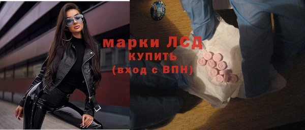 прущие грибы Костерёво
