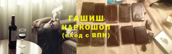 гидра Коряжма