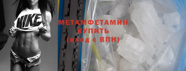 прущие грибы Костерёво