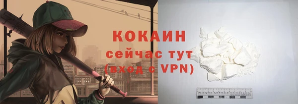 прущие грибы Костерёво
