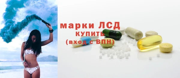 прущие грибы Костерёво