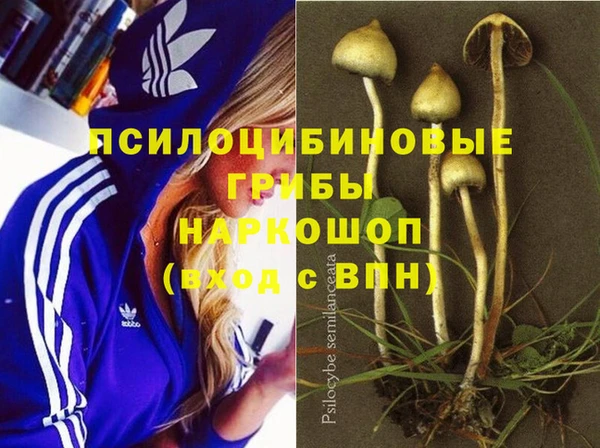гидра Коряжма