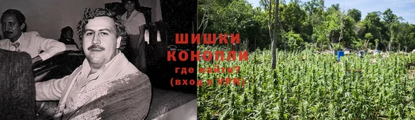гидра Коряжма