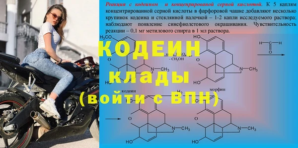 гидра Коряжма