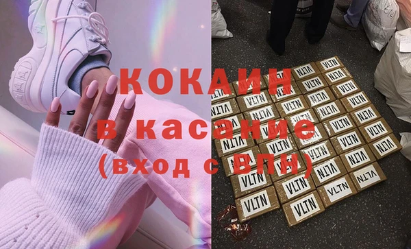 прущие грибы Костерёво