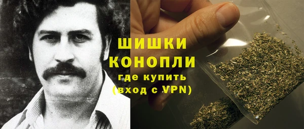 гидра Коряжма