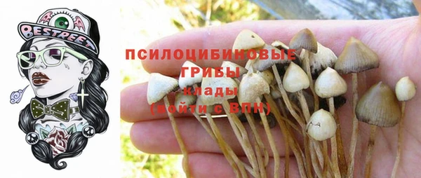 гидра Коряжма