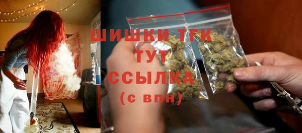 прущие грибы Костерёво