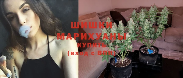 прущие грибы Костерёво