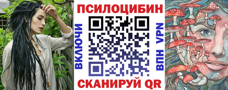 blacksprut рабочий сайт  где продают   Медвежьегорск  Галлюциногенные грибы Psilocybine cubensis 